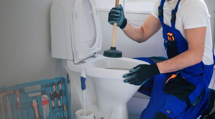 Professional sewer line repair services in Oracle, AZ